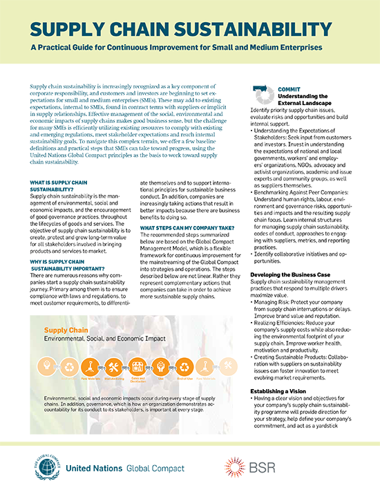 Resource_preview_206