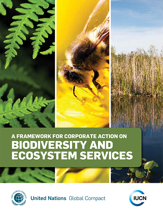 Resource_preview_263