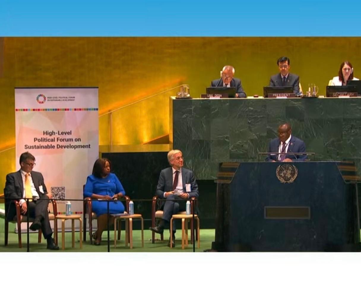 Sanda Ojiambo speaking on a panel at HLPF