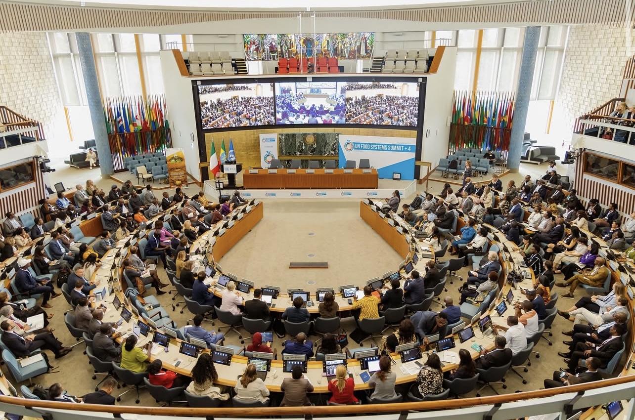 UN Food Systems +4 Convening