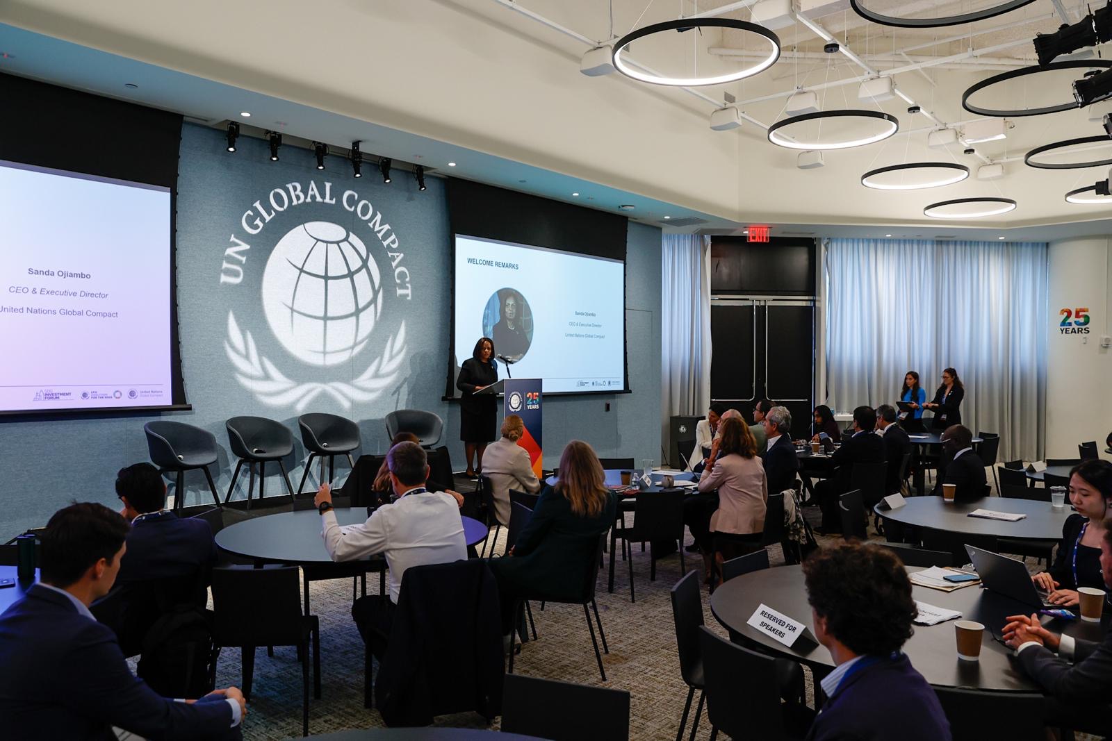 sdg investment forum